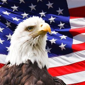 Eagle on American flag background