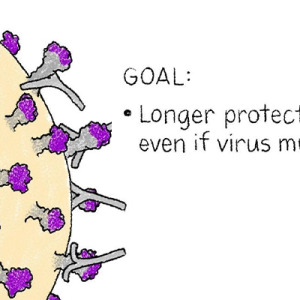 illustration of a virus - Goal: longer protection even if virus mutates