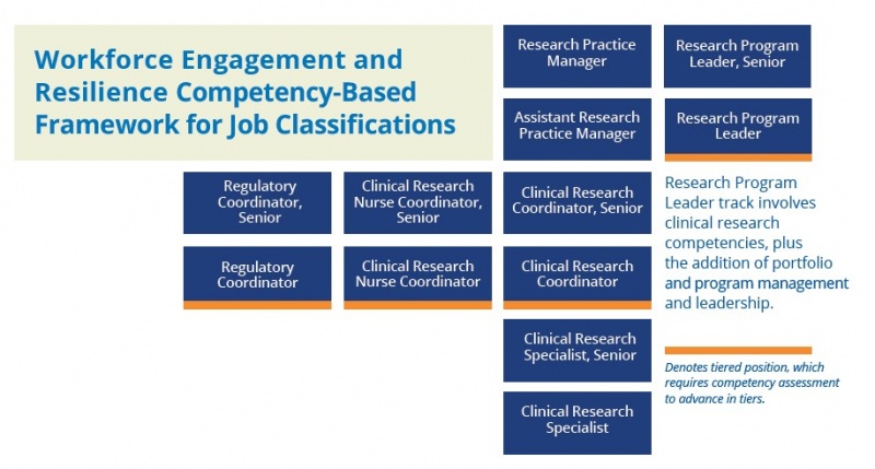 clinical research job hierarchy