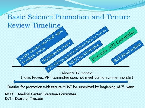 Basic Science Promotion and Tenure Review Process