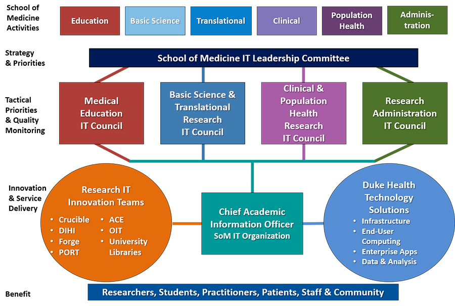 A graphic depicting the governance structure of the Duke DS & IT Department