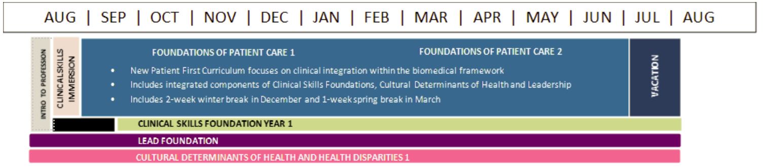 MS1 curriculum graphic