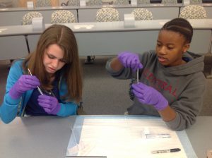 Gloved school students swabbing specimens