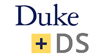 +DS logo