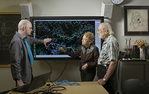 The Richardsons discuss a ribbon digram on a screen behind them.The Richardsons in their lab in the Nanaline Duke Building on the medical school campu