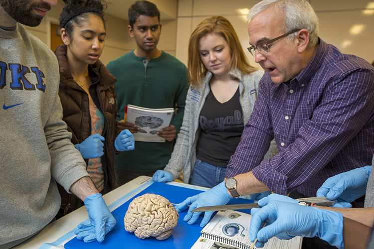 medical students in a brain lab looking at a brain
