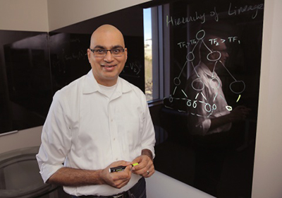 Dr. Dave at a blackboard board explaining his research