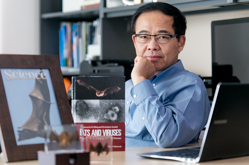 Linfa Wang, PhD, is known by the nickname 'Batman' at Duke for his expertise in studying viral transmission between bats and humans.