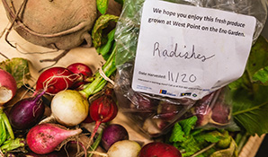 produce to be delivered to families