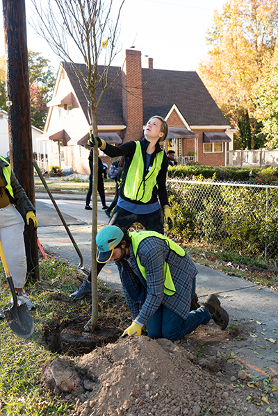 two students plant a tree