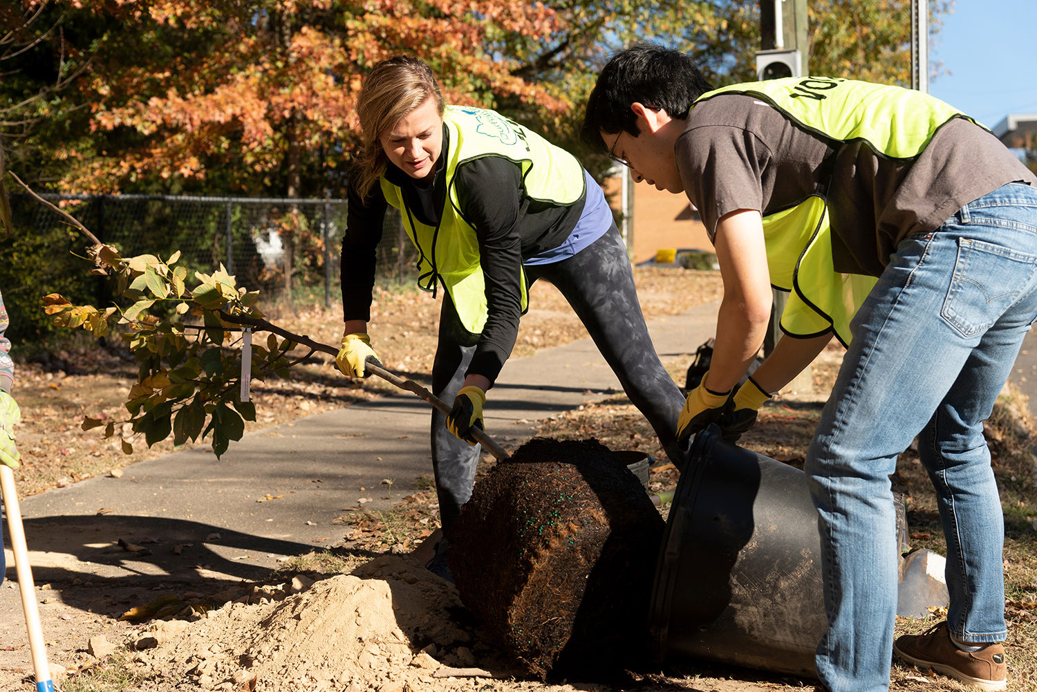 two students planting a tree