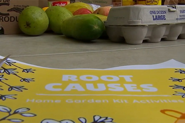 root causes poster on table next to eggs and produce