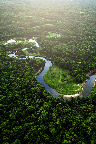 Amazon River