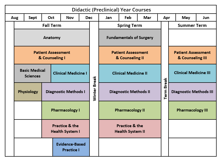 Preclinical schedule