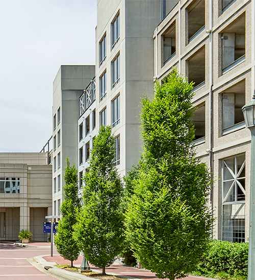 Entrance to Duke North pavilion