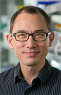 Edward Miao, MD, PhD