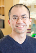Dennis Ko, MD, PhD