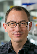 Edward Miao, MD, PhD