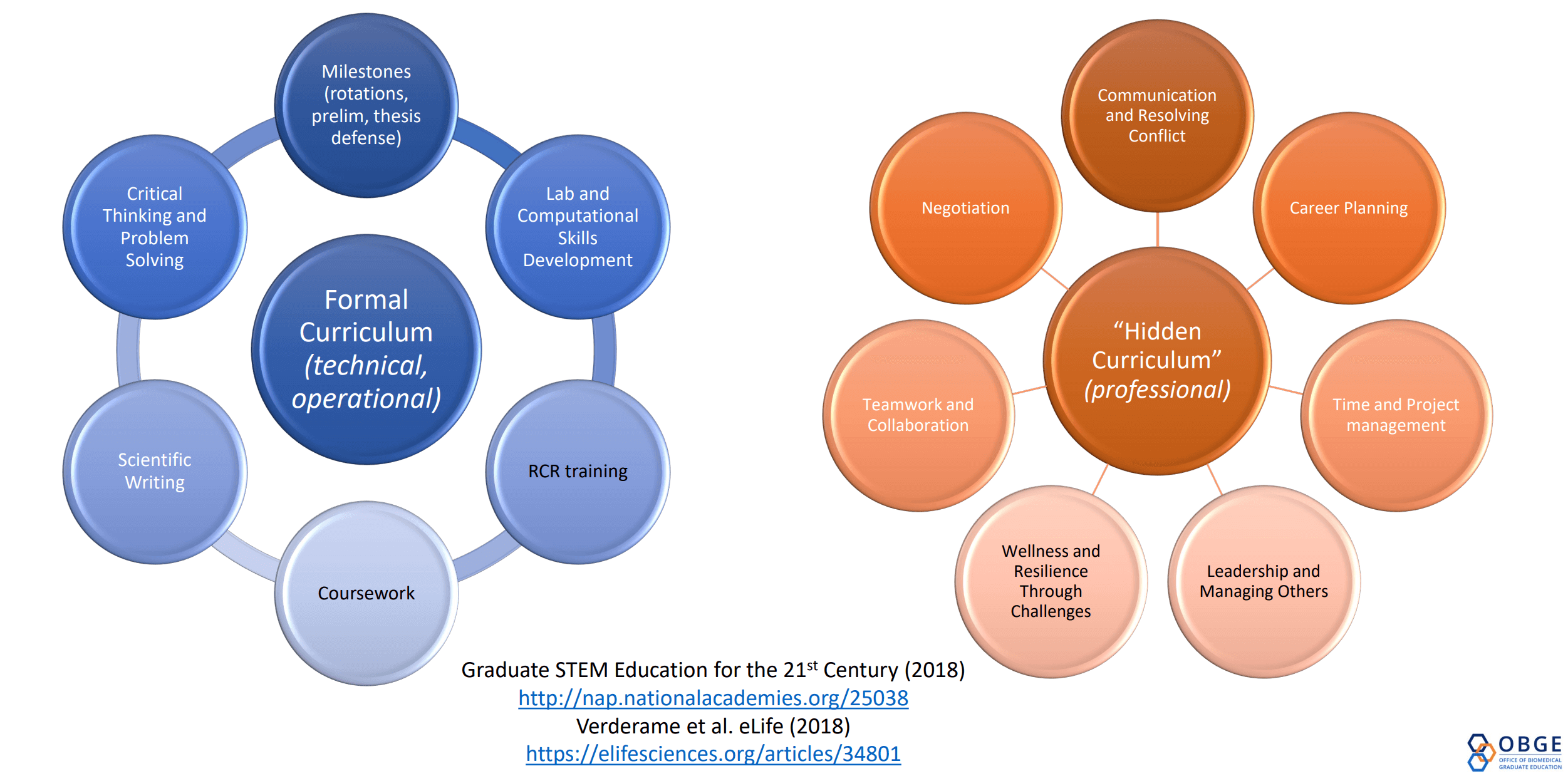 Diagram of components of formal and hidden curricula