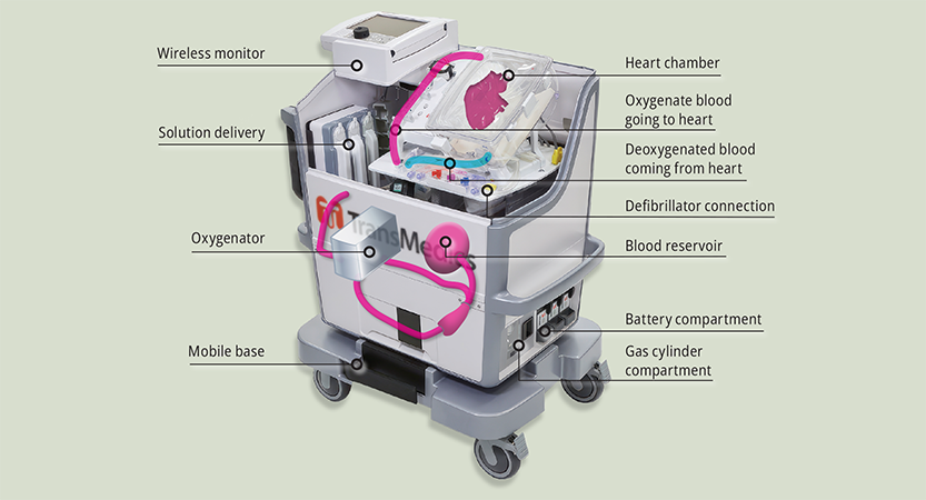 Heart in a Box Illustration