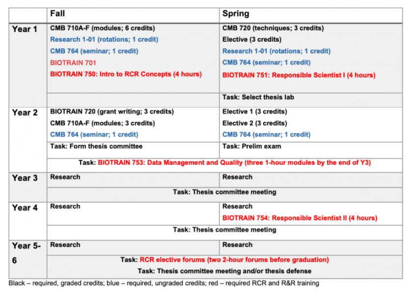 CMB Curriculum By Years