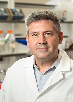 Jose R. Conejo-Garcia, MD, PhD
