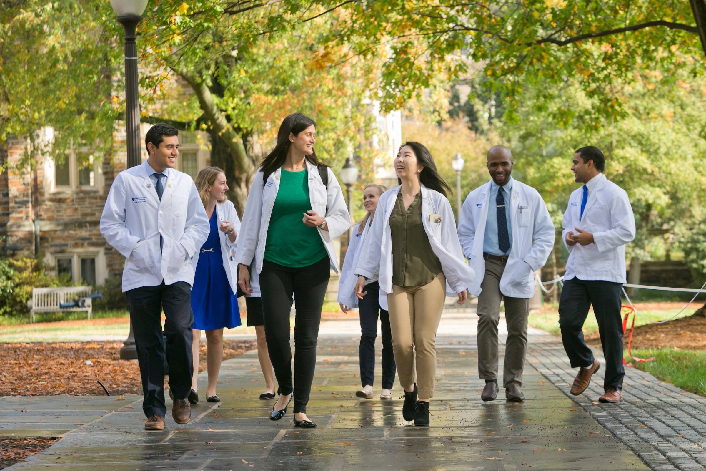 7 students walking and chatting wearing white coats on stone pathway under green and yellow trees