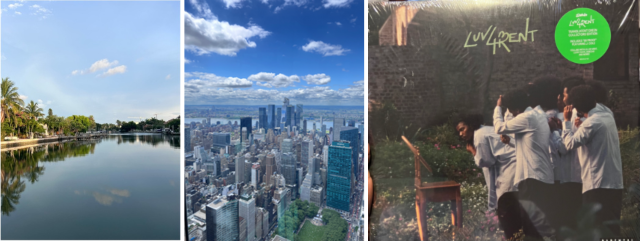 landscape scenes of Florida and Manhattan and a Smino vinyl album cover