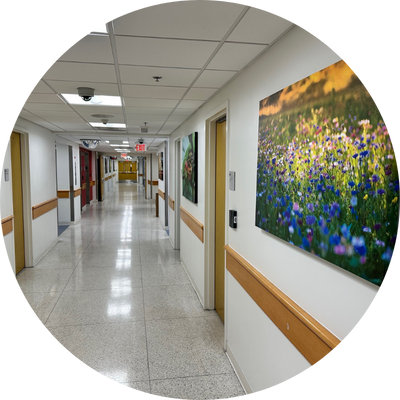 Long, clean hallway in a medical or office building with white walls, light-colored tile floors, and wooden doors on both sides. Colorful artwork featuring a vibrant field of wildflowers is mounted on the right wall. Ceiling-mounted security cameras and lights line the hallway, and an illuminated red exit sign is visible in the distance.