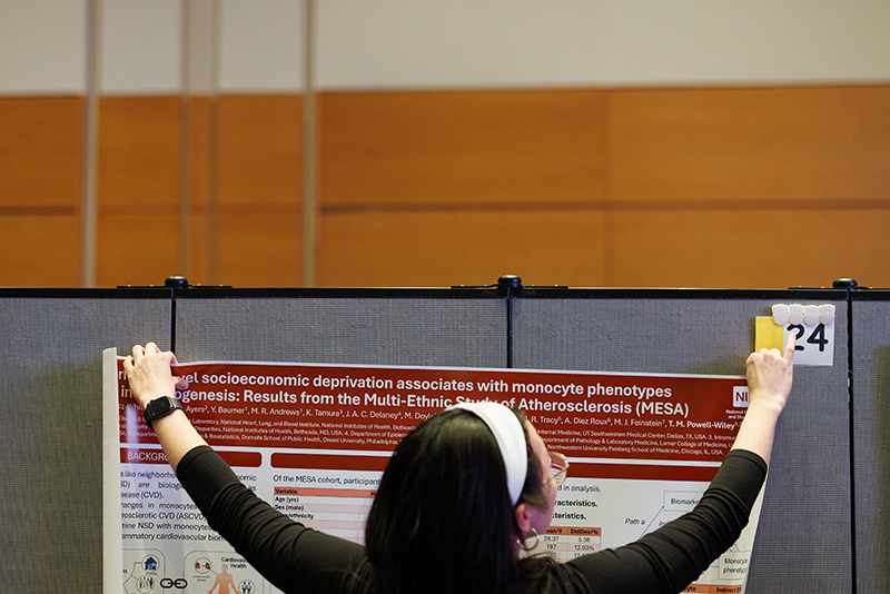 J. Eleanor Seo hangs her poster during the student poster presentation