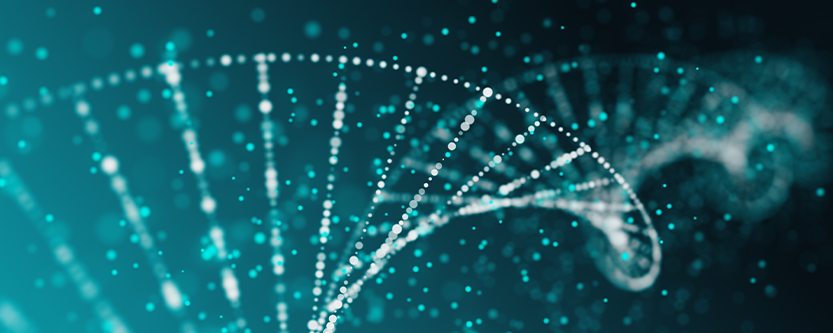 graphic - Double Helix as a spiderweb