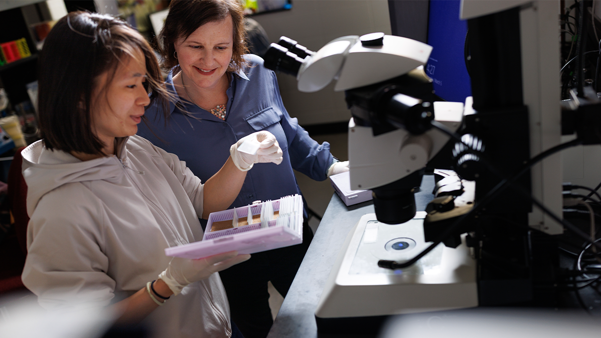 Debra Silver in the lab with a colleague looking at samples in test tubes