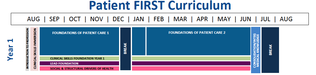 MS1 Curriculum Graphic