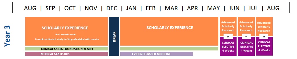 MS3 Curriculum Graphic