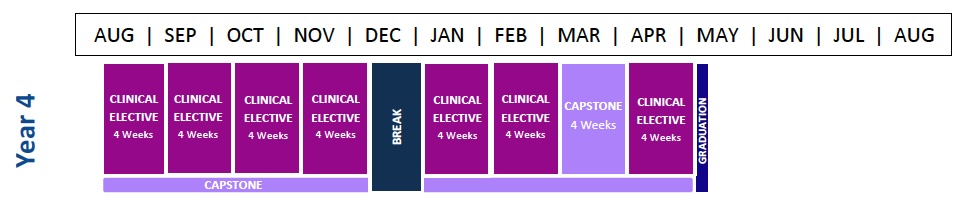 MS4 Curriculum Graphic