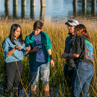Wetland researchers standing in a marsh