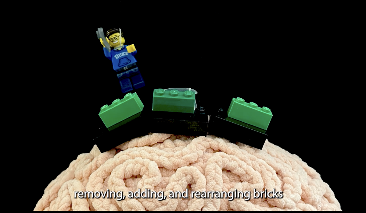 Lego pieces on a model of a brain