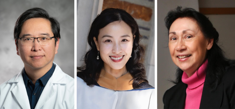 Lee Zou, PhD, Li Lan, PhD, and Anne Marie Pendergast, PhD