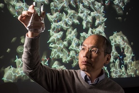 Seok-Yong Lee, PhD