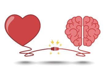 Heart connecting to brain - G Briefs