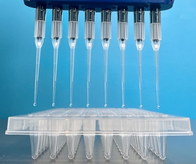 pipette in a plate