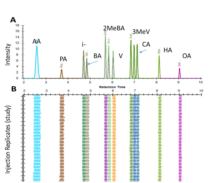 hromatogram of separation of short chain fatty acid NPH derivatives by LC-MS/MS and the reproducibility in retention time observed over >100 injections.