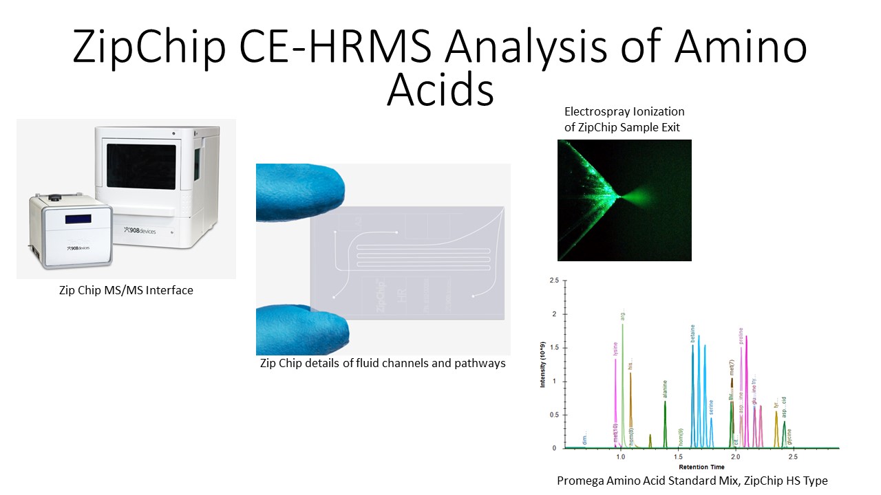 Proteomic and Metabolomic Services | Duke University School of Medicine