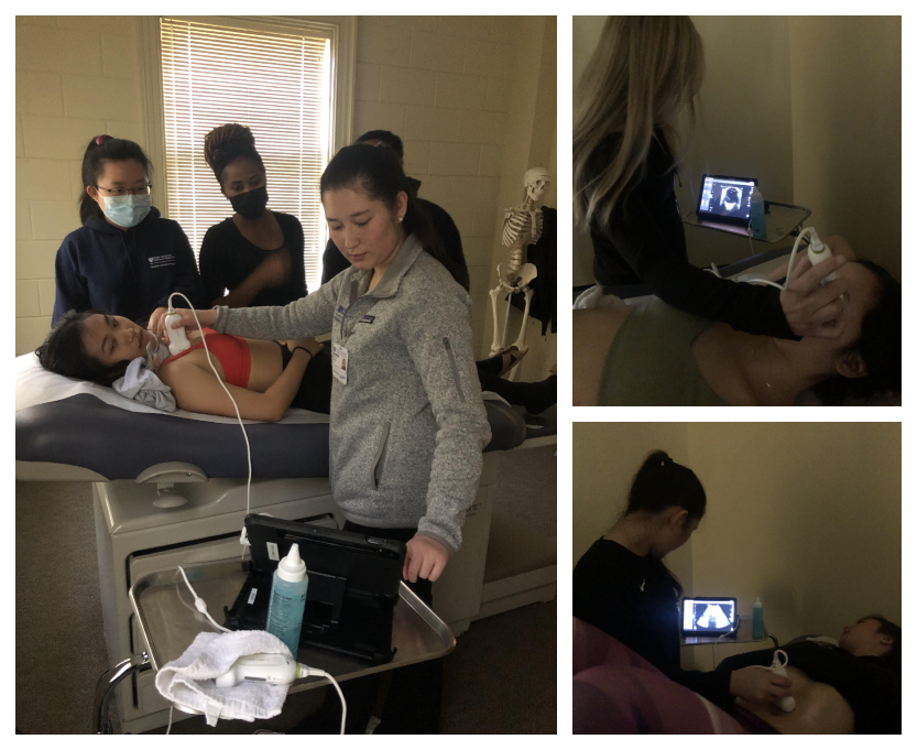 Students performing point of care ultrasound