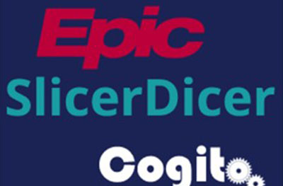 Image of SlicerDicer logo.