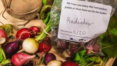 picture of fruit, and a note saying "we hope you enjoy this fresh produce"