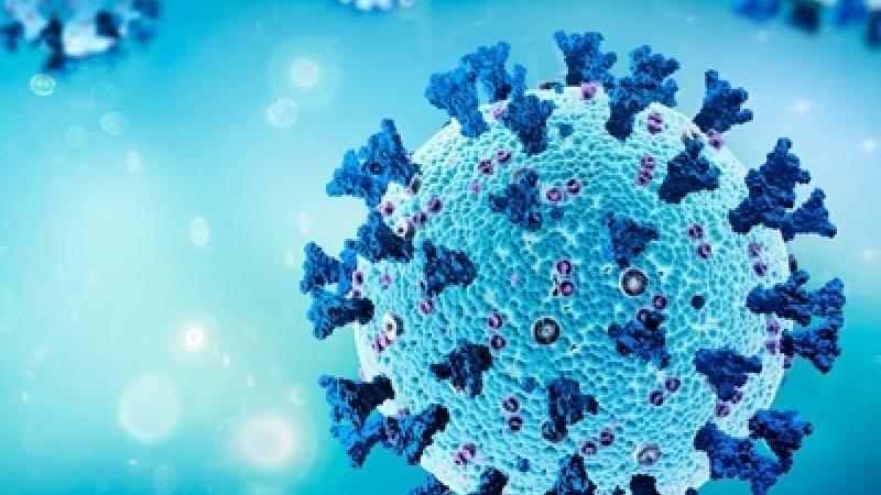 COVID-19 spike protein