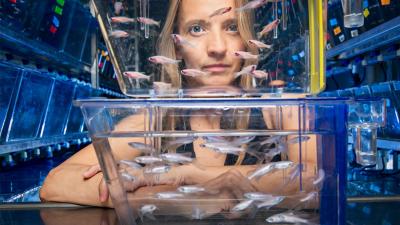 Eva Naumann looking at viewer through a fish tank with zebrafish