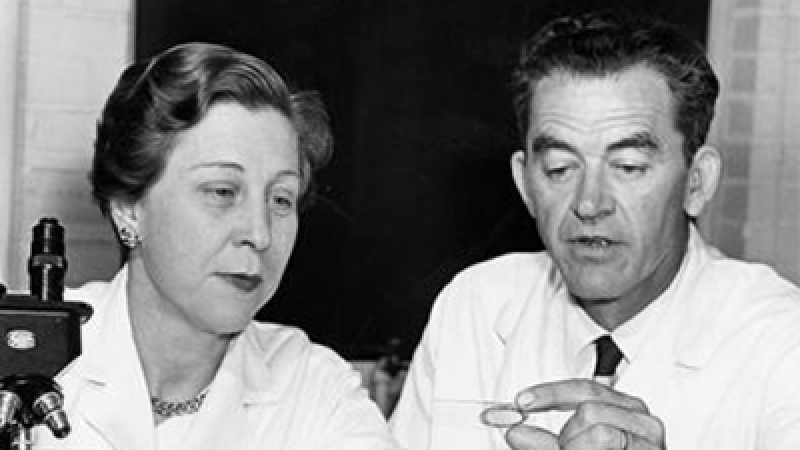 Dorothy and Joseph Beard