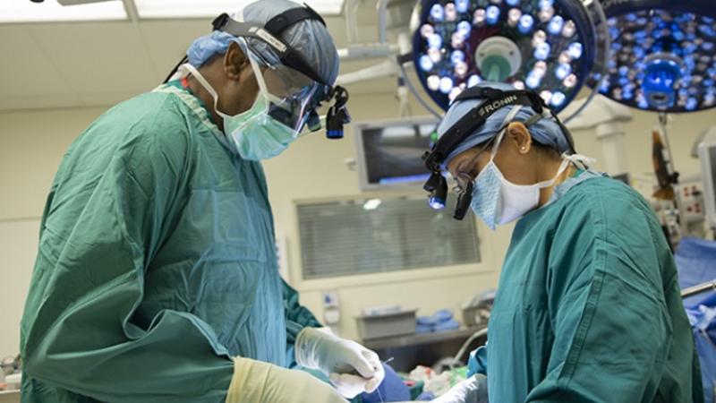 physicians performing kidney transplant
